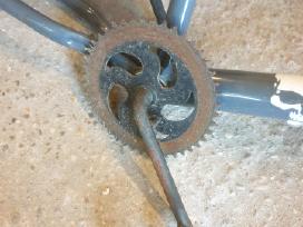 BMX pedaline