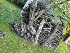 Malkos / (iškirsti sodo vaismedžiai) kūrenimui