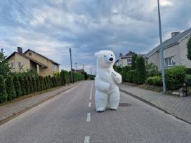Meškiuko Sniegio Sveikinimas