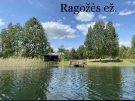 Stovyklavietė prie Ragožės ež. Lazdijai