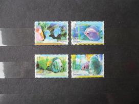 2006 m. akvariumo žuvys – diskinės žuvys Mhn