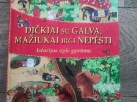 Dičkiai su galva mažiukai irgi nepėsti. Knyga