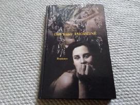 Džili Kuper Imodžinė 1994 m. romanas