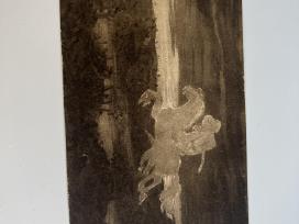 Atvirukas 1921m O. Vitkauskytės knygynas
