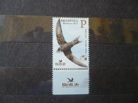 2012 metų paukštis – Juodoji Swift Mhn