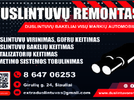 Duslintuvų remontas - universalūs katalizatoriai