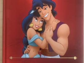 Knyga “ Aladyn