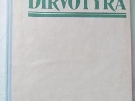 Dirvotyra (1996)