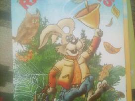 Raidynėlis/ Knyga