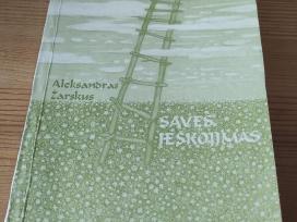 Aleksandras Žarskus - Savęs ieškojimas 2001