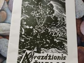 Brazdžiionio grafikos knygelė