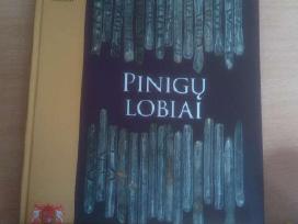 Pinigų lobia