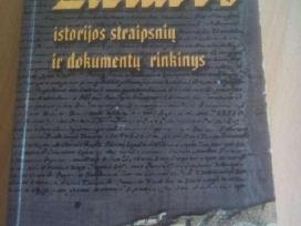 Lietuvos Istorijos Straipsnių Rinkinys