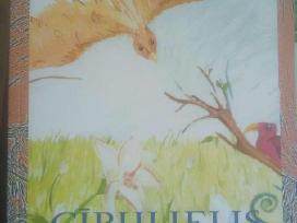 Cirulielis. Žemaičių kalbos skaitinių vaikams