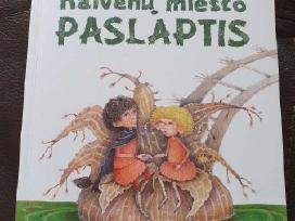 Raminta Baltrušytė. Kalvėnų Miesto Paslaptis