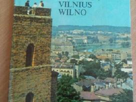 Vilnius. Wilno. Almumas
