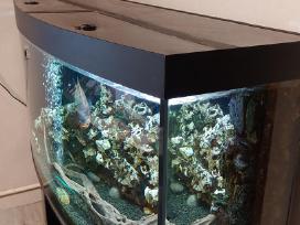 Akvariumas 450l su spintele