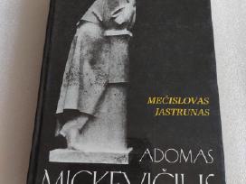Adomas Mickevičius. Poeto laikas ir asmenybė