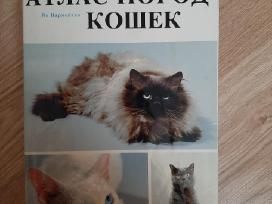 Атлас пород кошек. Kačių veislės Ru