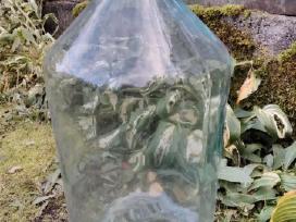 Butelis 20l