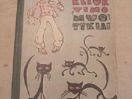 Vaikiška knygutė