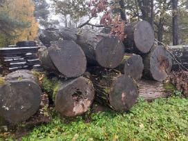 Ąžuolo rąstai/ mediena