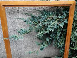 Paveikslų rėmelis