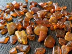Gintaras, 25 g