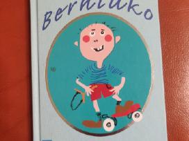 Berniuko knyga. 2009 m. Alma Littera