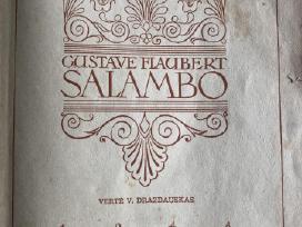 Retro knyga (antikvaras) Salambo 1948m