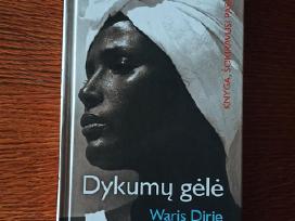 Parduodu knyga"dykumu gėlė"