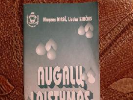 Augalų laistymas