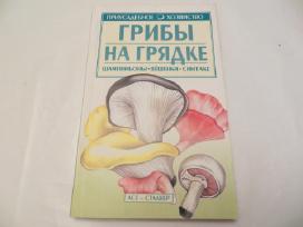 Knyga Grybų auginimas šampinjonai šiitake 2003