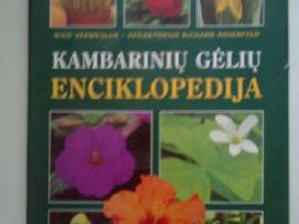 "Kambarinių gėlių enciklopedija"