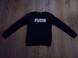 Puma dzemperis
