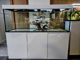 Akvariumas 450l su dangčiu