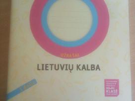 Lietuvių kalba. Užrašai 1 klasei