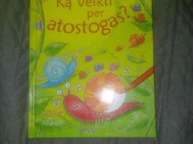 Ką veikti per atostogas? Ray Gibson