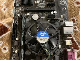 Asrock H81 Pro Btc motininė plokštė