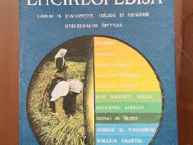 Biblijos enciklopedija