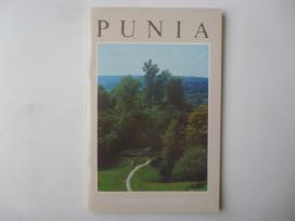 Punia