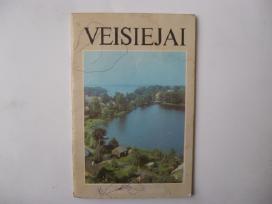 Veisiejai
