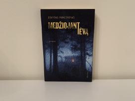 Medžiojant tėvą Dovydas Pancerovas