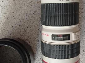 Canon Ef 70 200 f4 L Usm
