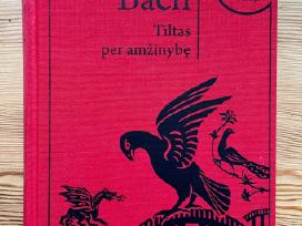Richard Bach Tiltas per amžinybę