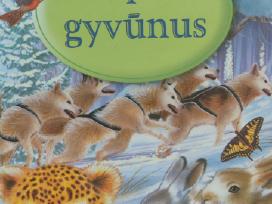 Apie gyvunūs