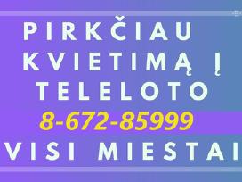 Tele Loto Bilietų Supirkimas / perka mašina