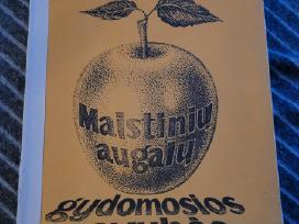 Maistinių augalų gydomosios savybės
