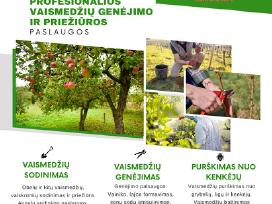 Vaismedziu genejimas, aplinkos tvarkymas