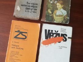 Senos knygos medicinos tema